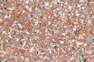 永定红(细花)红底