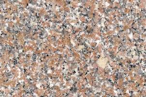 永定红(中花)黑底