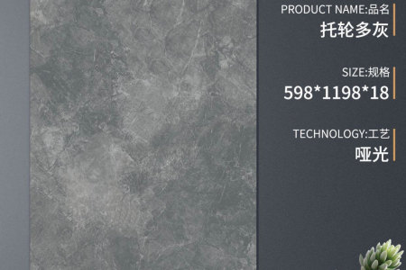 S-SCM12625-T托轮多灰