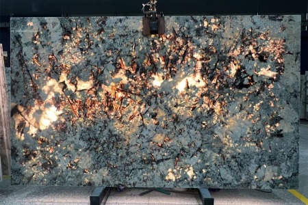 雪山兰透光效果