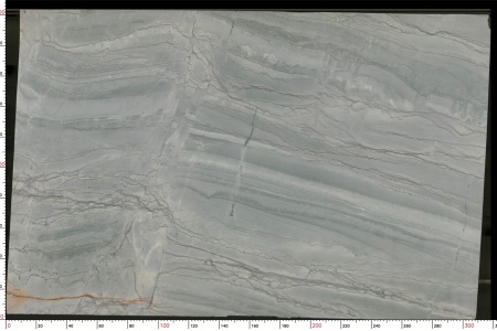 巴西鱼肚白TX-1188