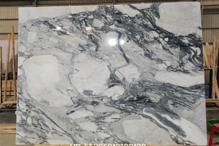 宝格丽蓝(大花白)