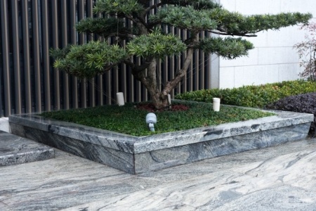 泰岳·水墨树围