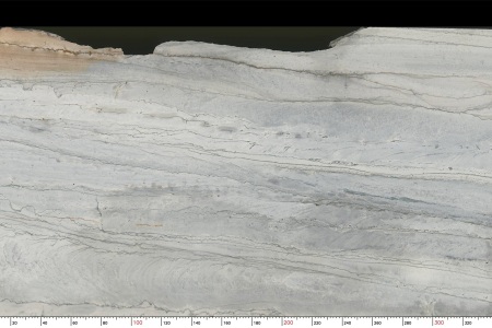 巴西鱼肚白TX-1187