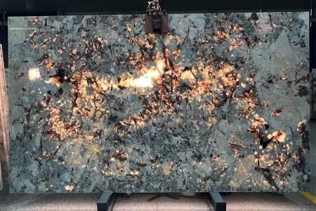 雪山兰透光效果