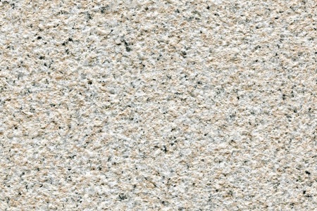 漳浦虾红荔枝面