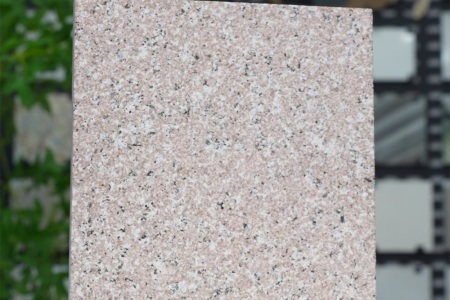 永定红-细花-荔枝面