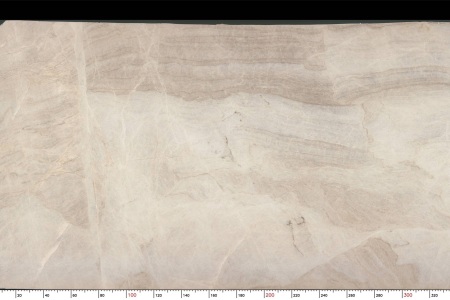 镜湖春晓TXJ-1299