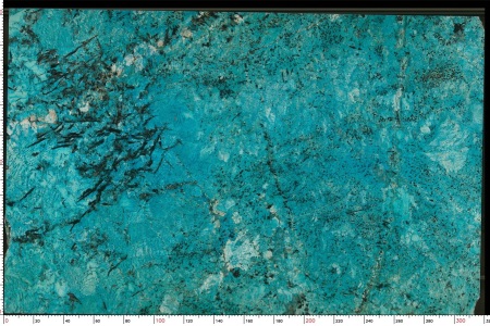 阿尔卑斯雪TX-1101