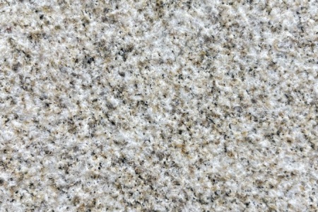 山东黄金麻荔枝面