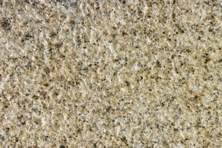 山东黄金麻荔枝面