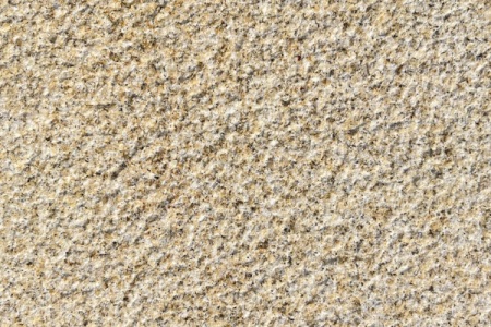 山东黄金麻荔枝面