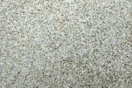 山东黄金麻荔枝面