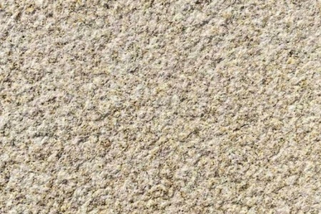 山东黄金麻荔枝面