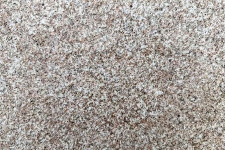 山东黄金麻荔枝面