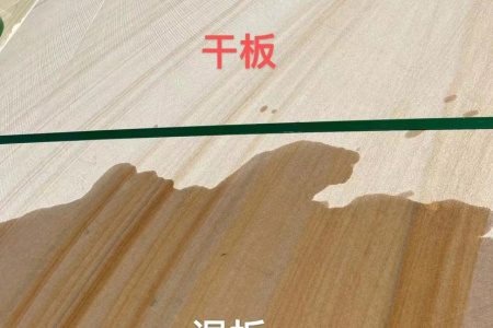 黄木纹砂岩厂家直销：13619659300