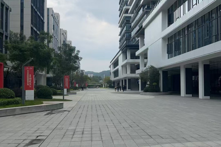 小蓝宝（新矿芝麻黑）