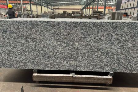 浪花白（海浪花）