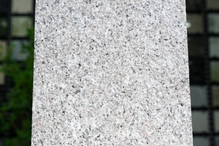 溪东红G636荔枝面