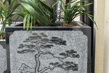 云南芝麻黑花盆