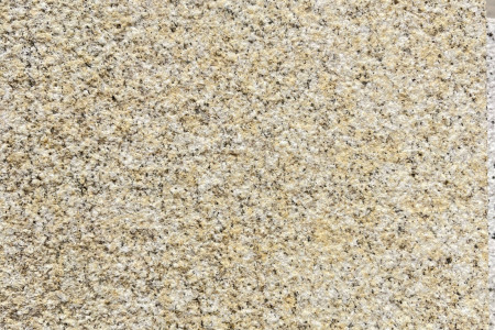 山东黄金麻荔枝面