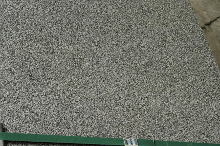 芝麻黑提滨州青