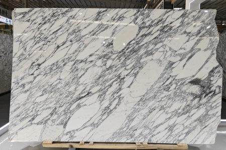 大花白，宝格丽白