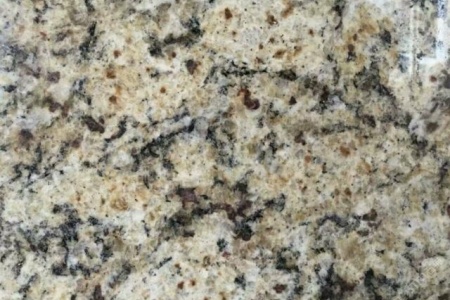 巴西金 芭蕉黄 东方黄  托马斯