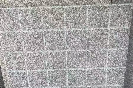 小蓝宝福建芝麻黑