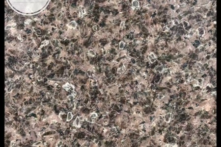 主营：新疆红/天山红/鄯善红/卡拉金麦/卡拉麦里金/棕钻/咖 啡钻 /世纪雅钻