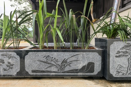 云南芝麻黑花盆