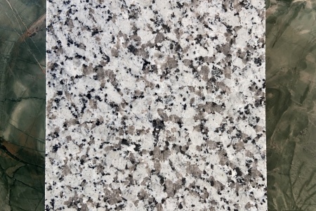 老矿芭拉白小花