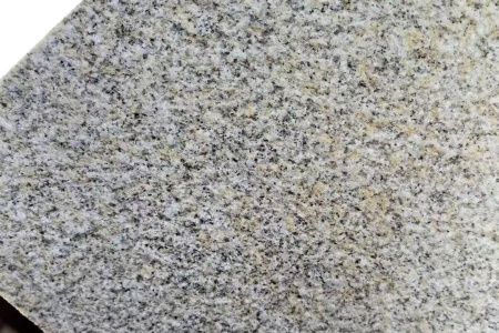 山东黄金麻荔枝面