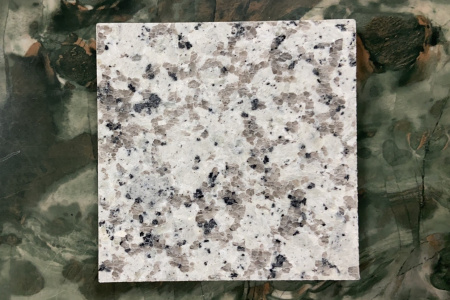 老矿芭拉白大花