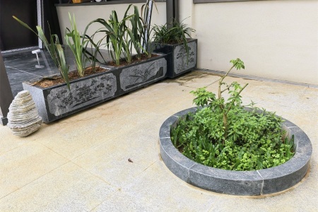 云南芝麻黑花盆