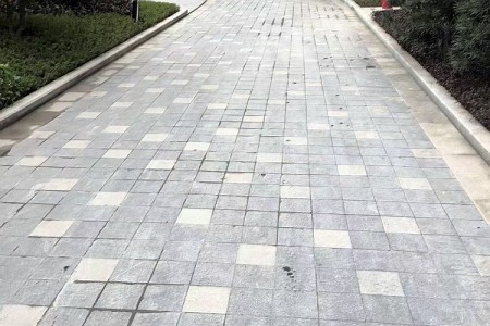 中国黑案例