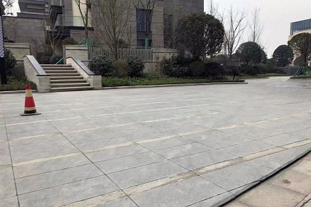 中国黑案例