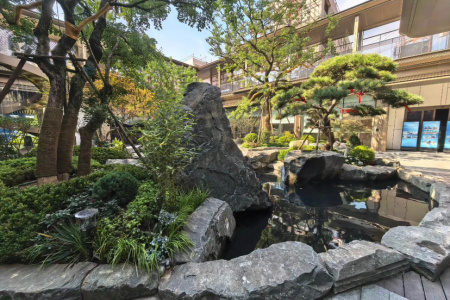 山西黑原石水景