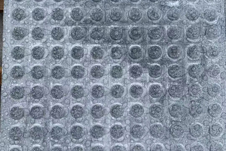 芝麻灰盲点石