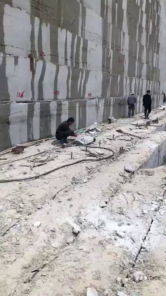 美国白金 黄金麻 芝麻黑 芝麻白