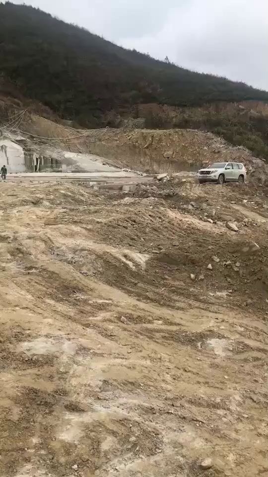 美国白金 黄金麻 芝麻黑 芝麻白