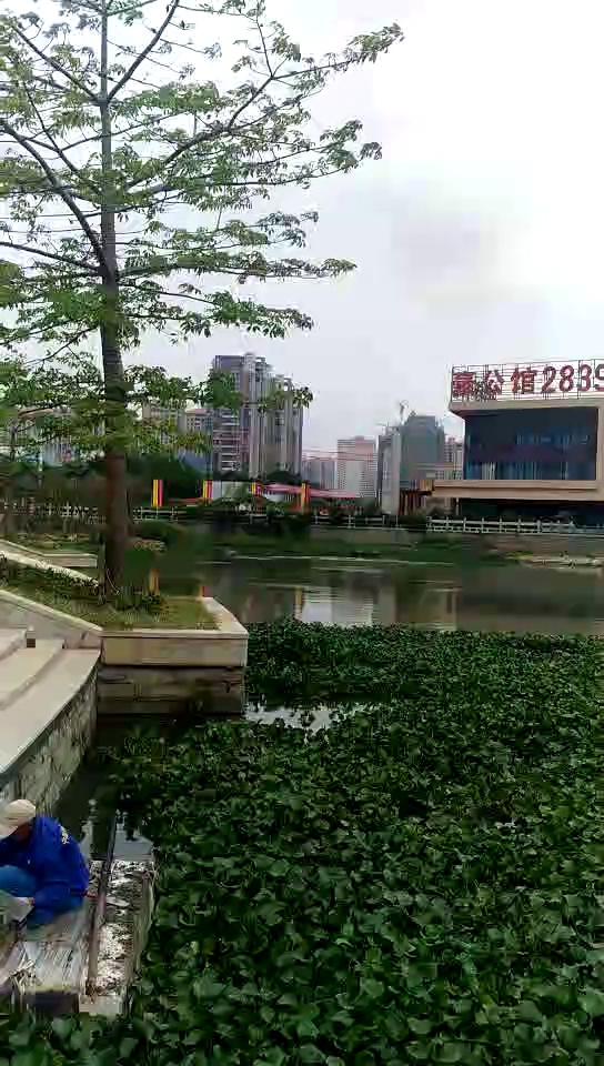 黄锈石(石井锈)/港尾锈