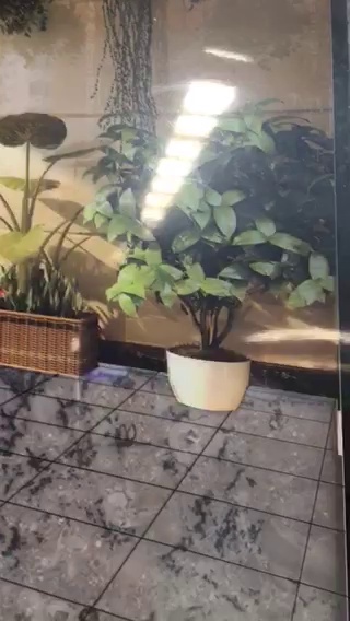 现场看效果，适用于每个位置⸂⸂⸜?⸝⸃⸃