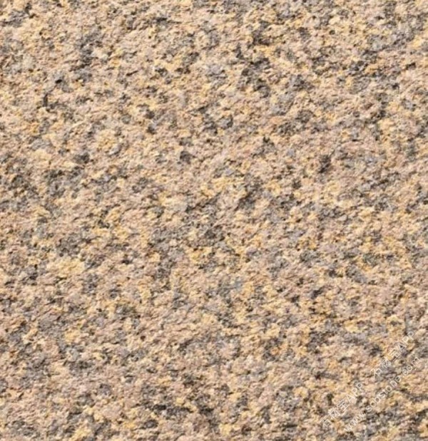 金钻玛(金钻麻)