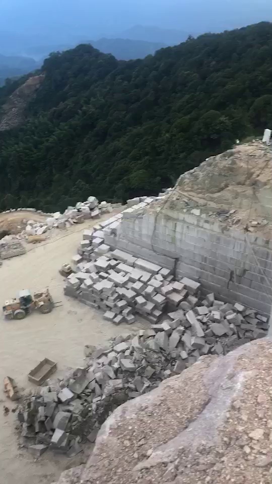 新永定红、五莲红直销