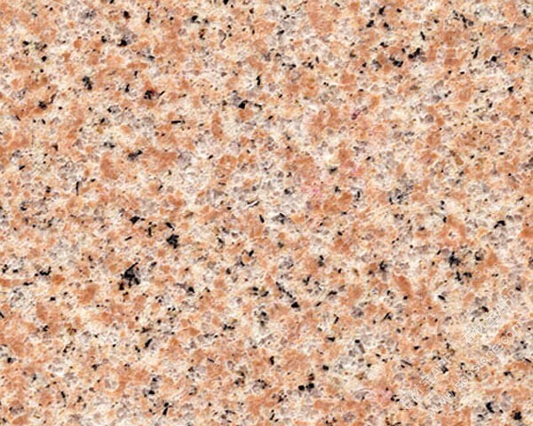 福寿红(寿宁红)/中国班岩/锈石/虾红/皇室香槟