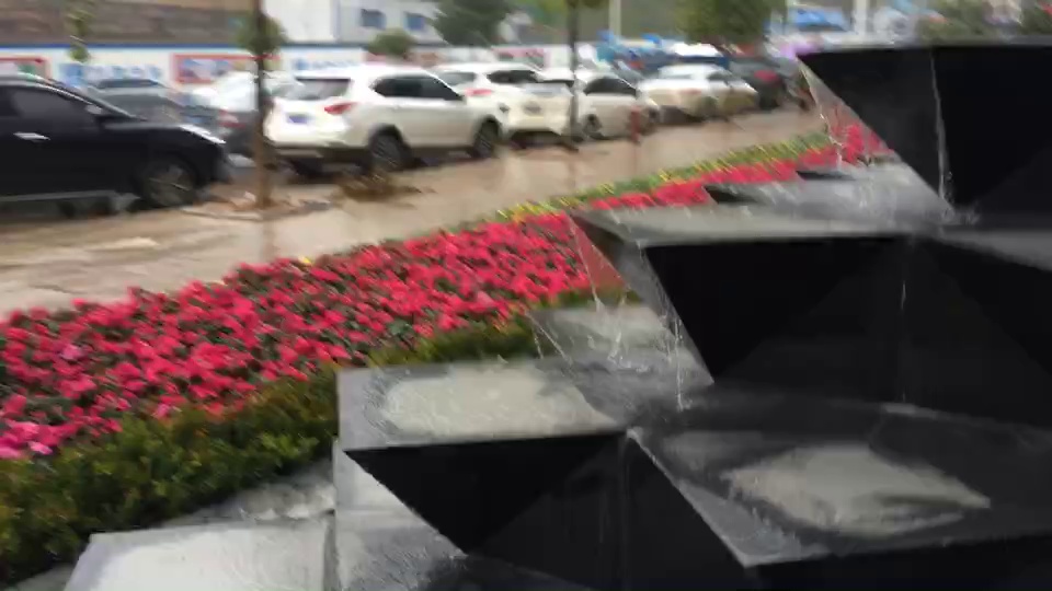 黑金沙，银珠，蓝钻，安哥拉黑，安哥拉棕「黑底，红底」,联系我们