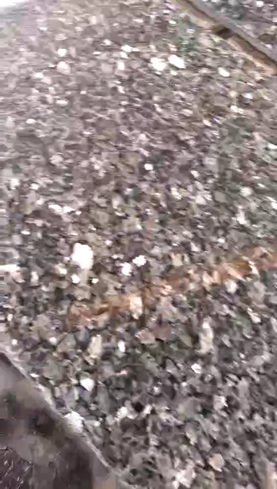 黑金沙，银珠，蓝钻，安哥拉黑，安哥拉棕「黑底，红底」,联系我们