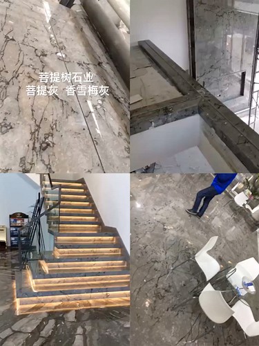 菩提灰   香雪梅   灰太狼   威尼斯