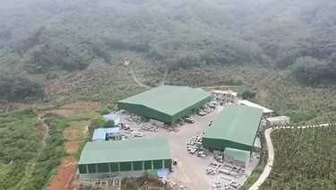 新老矿芝麻黑厂家